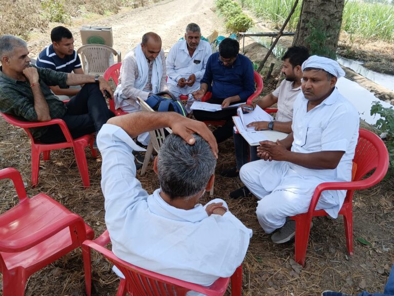 Consultancy Services